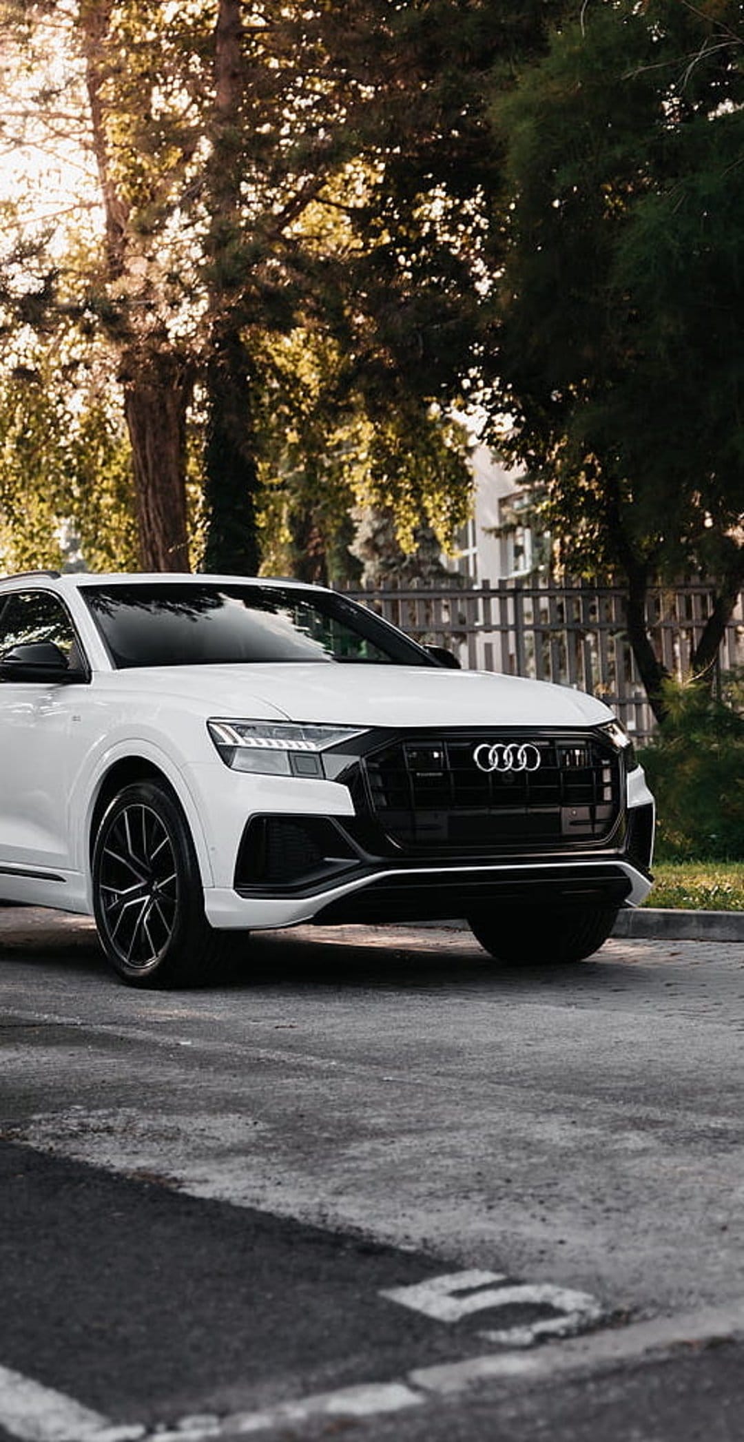 White Audi Q8 SUV parked on a paved road surrounded by green trees and sunlight with a metal fence background.