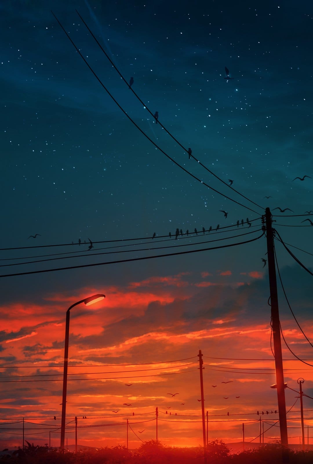Birds perched on wires between glowing orange sunset clouds and a starry dark blue sky near a streetlamp.
