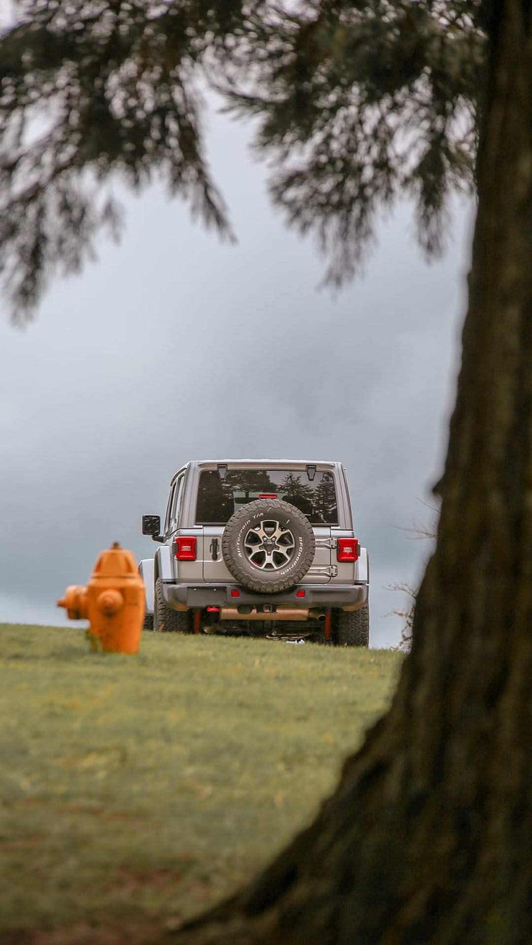 Silver Jeep Wrangler on a grassy hill beside an orange fire hydrant and a large tree trunk under a cloudy sky.