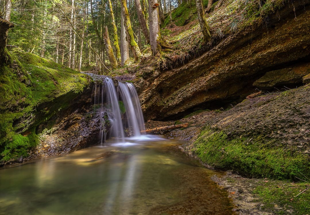 Cascading water flows over mossy rocks in a dense green forest with sunlight filtering through the canopy trees.