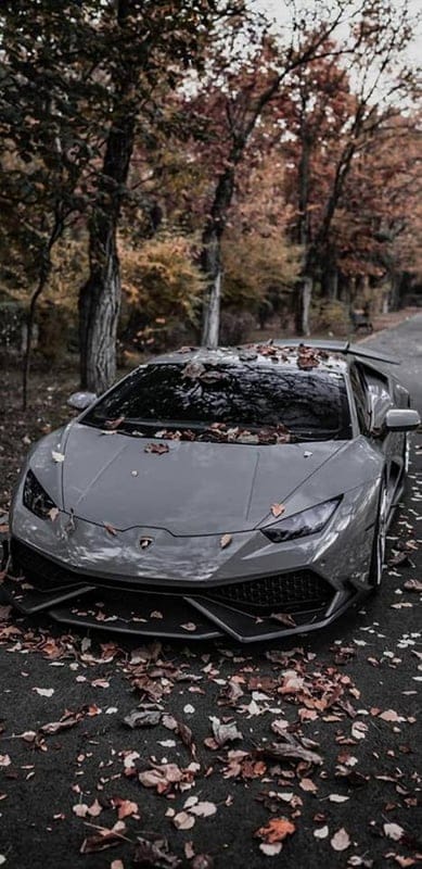 Lamborghini Huracan, car, autumn, mobile wallpaper, android wallpaper, iPhone wallpaper, phone wallpaper