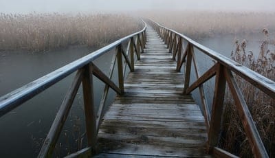 Bridge wallpaper,Bridge,Bridge background,aesthetic view,iPhone wallpaper