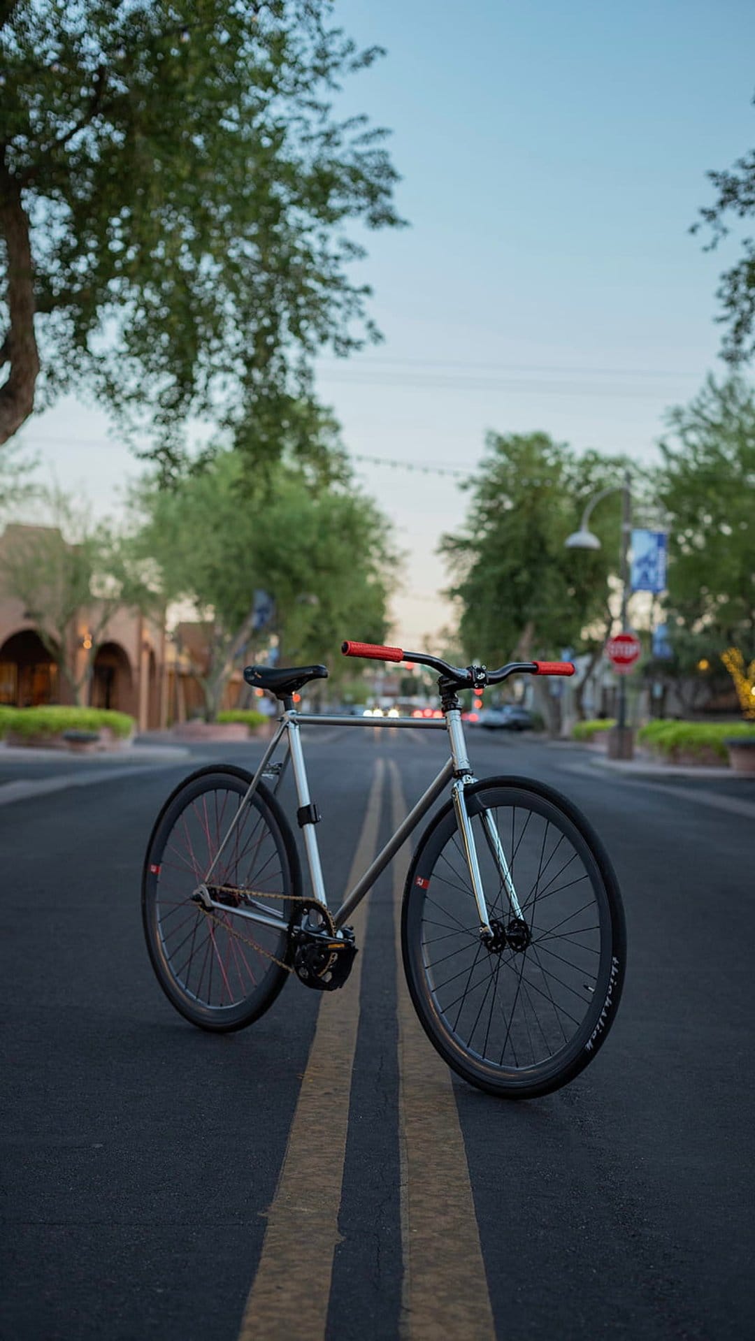Grey fixed gear bicycle with red handlebars on an asphalt street during twilight near desert greenery.