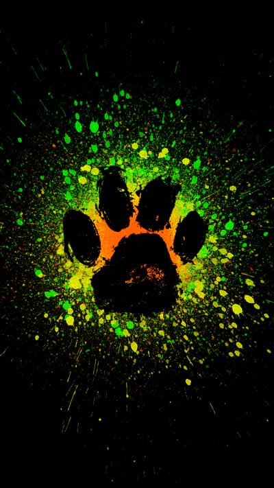 footprint,paw,paint,spray,art