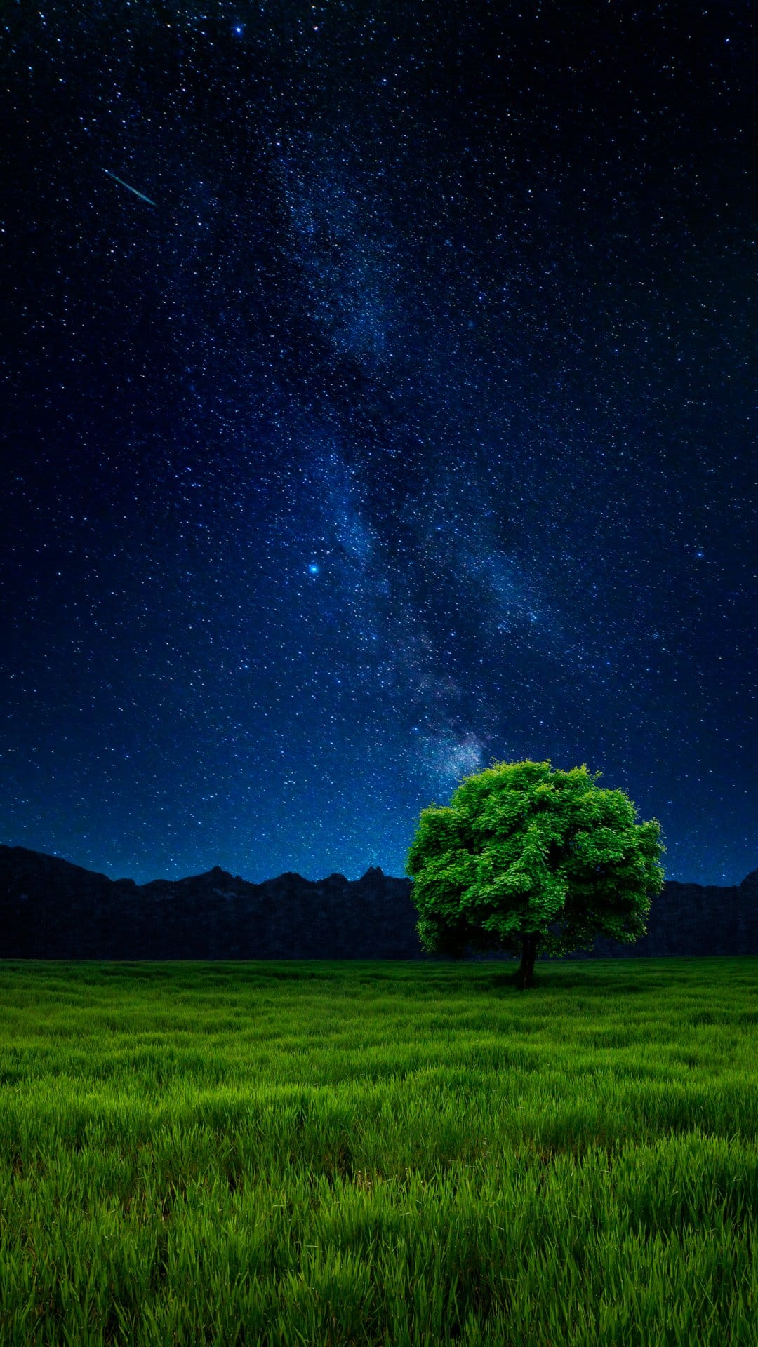 Lone green tree in a meadow under a bright Milky Way galaxy and a star-filled sky during a clear dark night.
