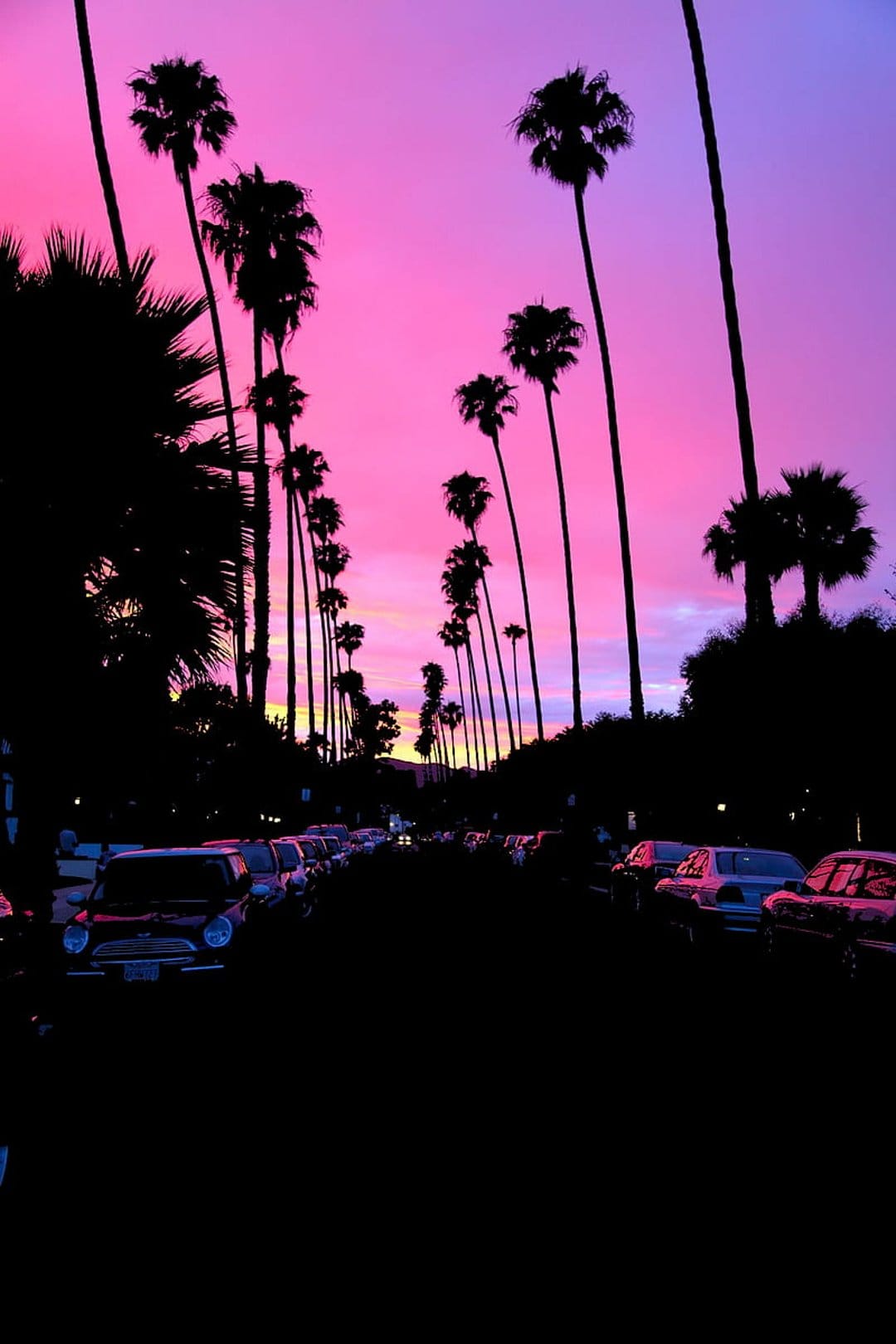 Palm tree silhouettes line a street against a vibrant pink and purple twilight sky with parked cars.
