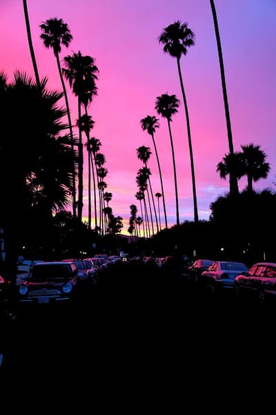 sunset, palm trees, road, car, California, dark, mobile wallpaper, android wallpaper, iPhone wallpaper, phone wallpaper