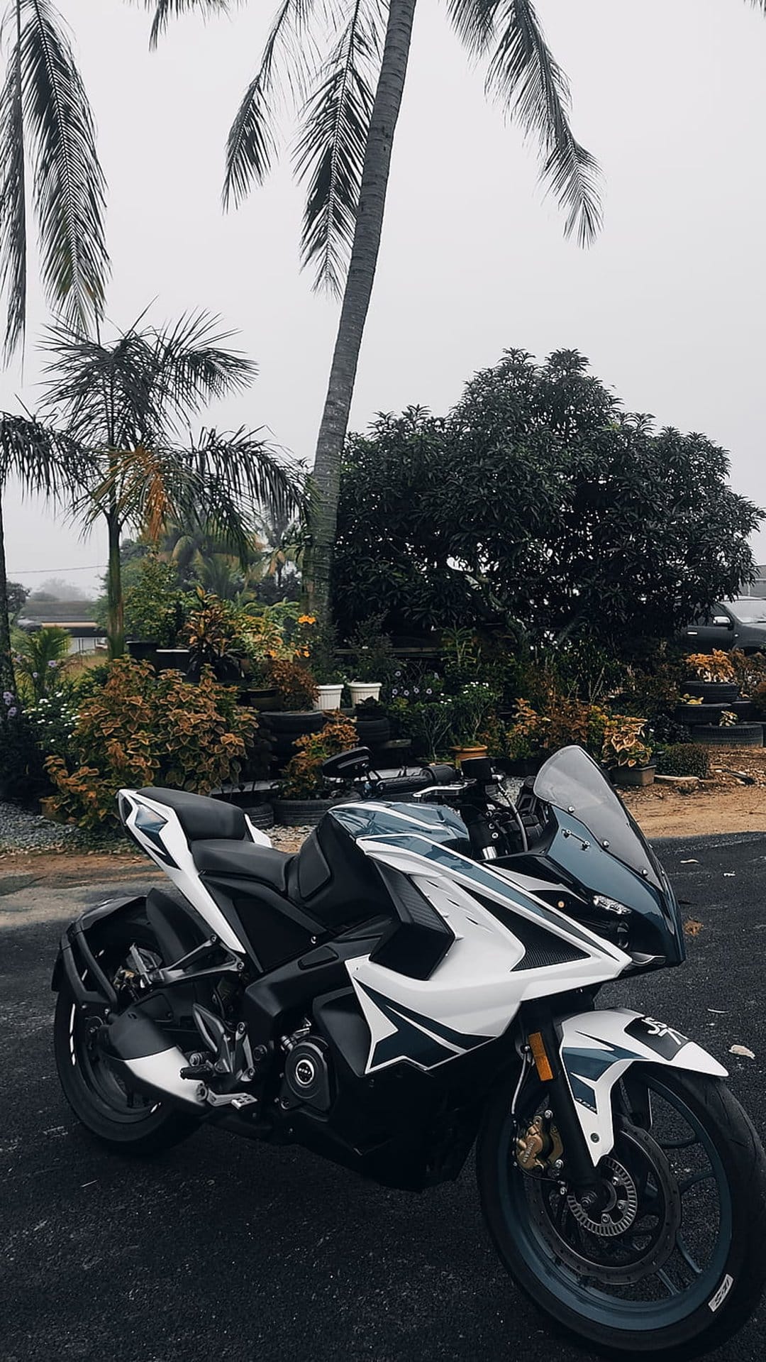 Teal and white sport motorcycle parked on asphalt surrounded by tropical palm trees and garden plants.