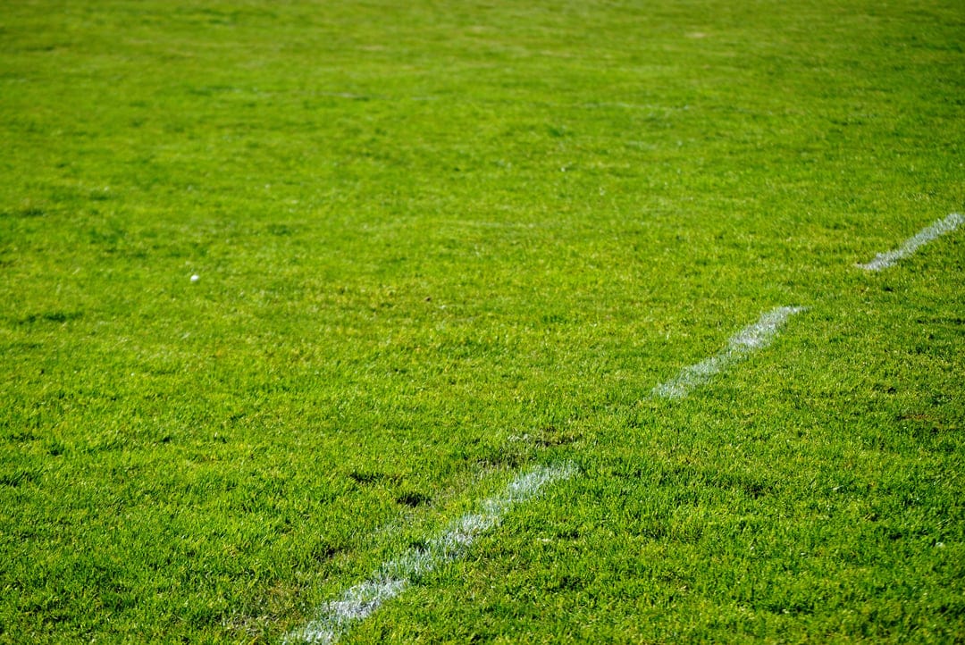 Lush green athletic turf with a thick white chalk boundary line viewed from a low-angle vertical perspective.