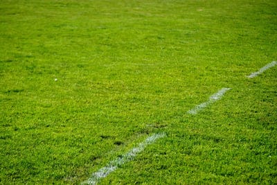 lawn,grass,marking,greenery