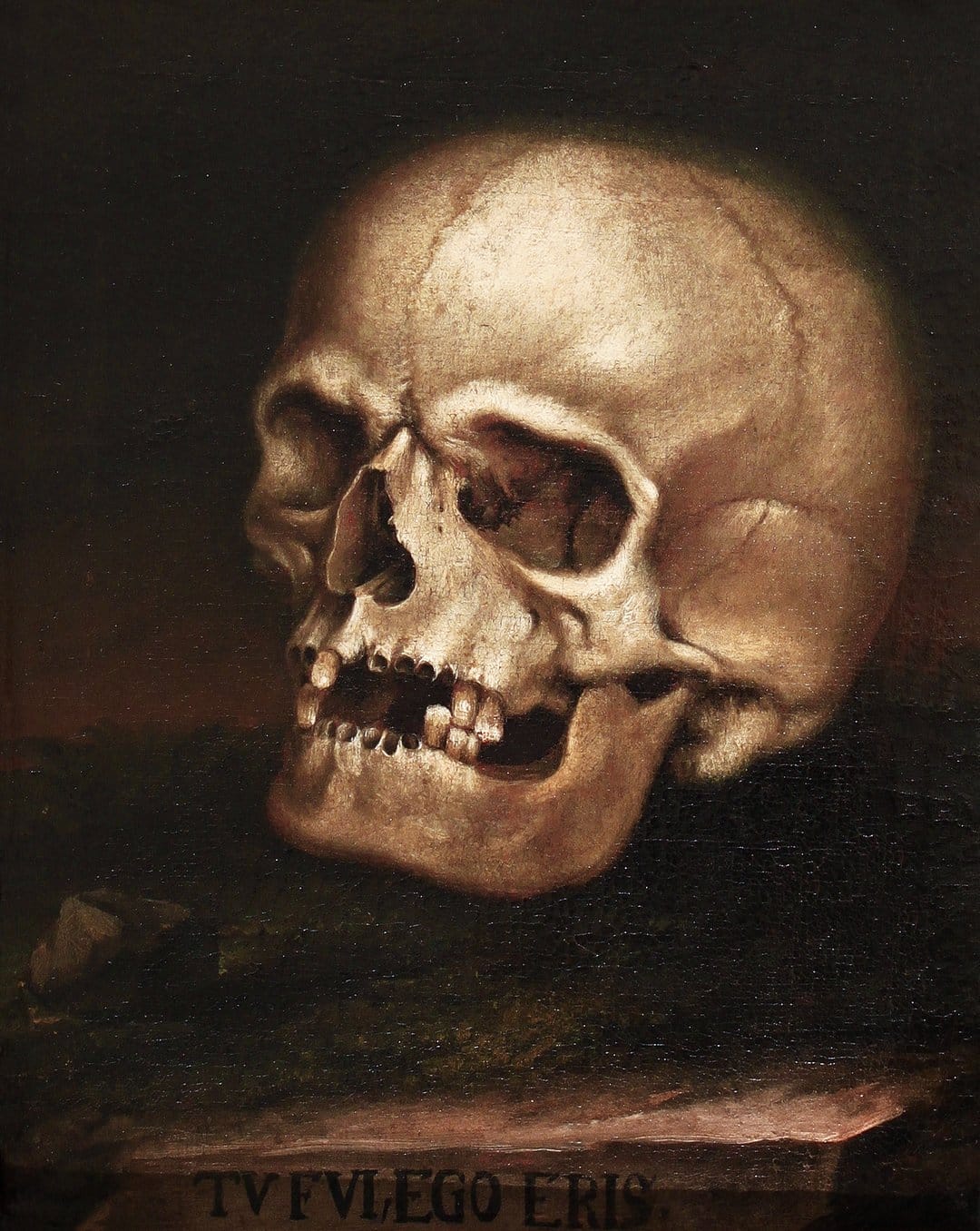 Human skull positioned over a Latin inscription with high-contrast shadows against a midnight black backdrop.