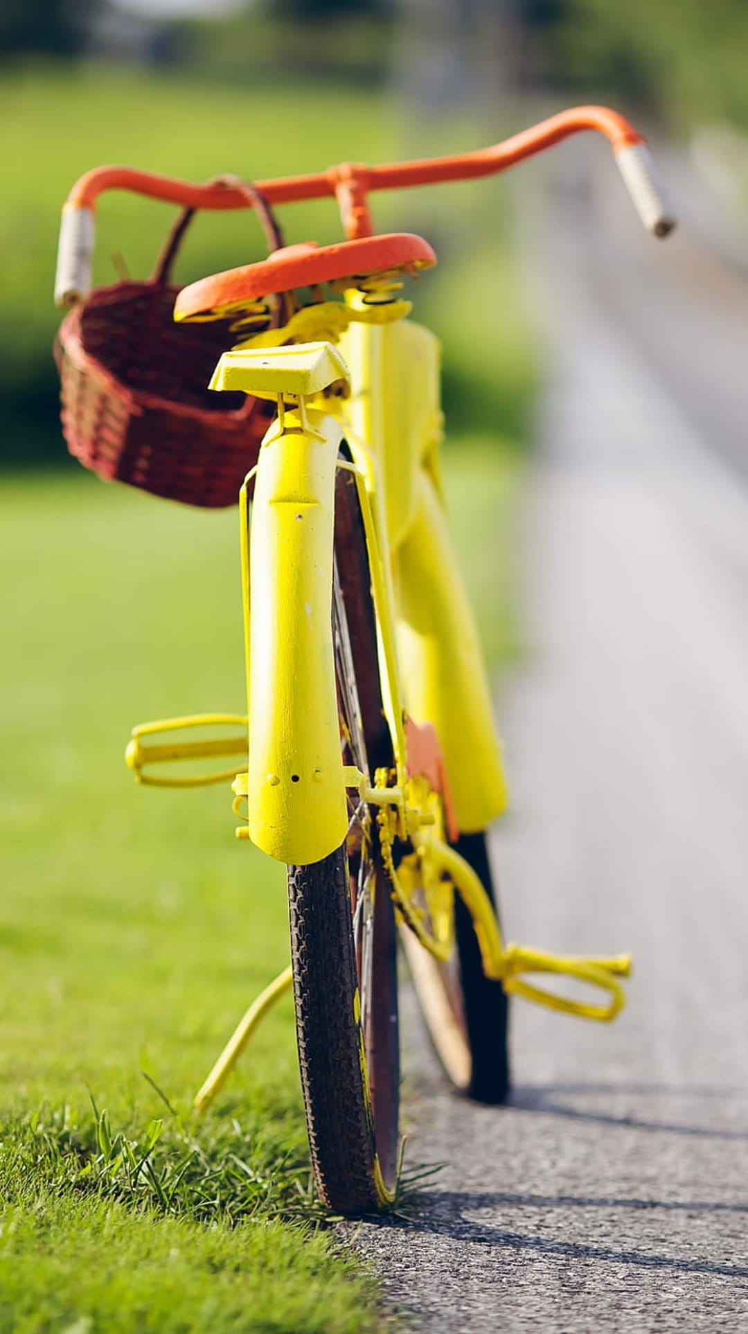 Yellow vintage bicycle with a wicker basket parked on green grass next to a paved pathway in a sunny garden.