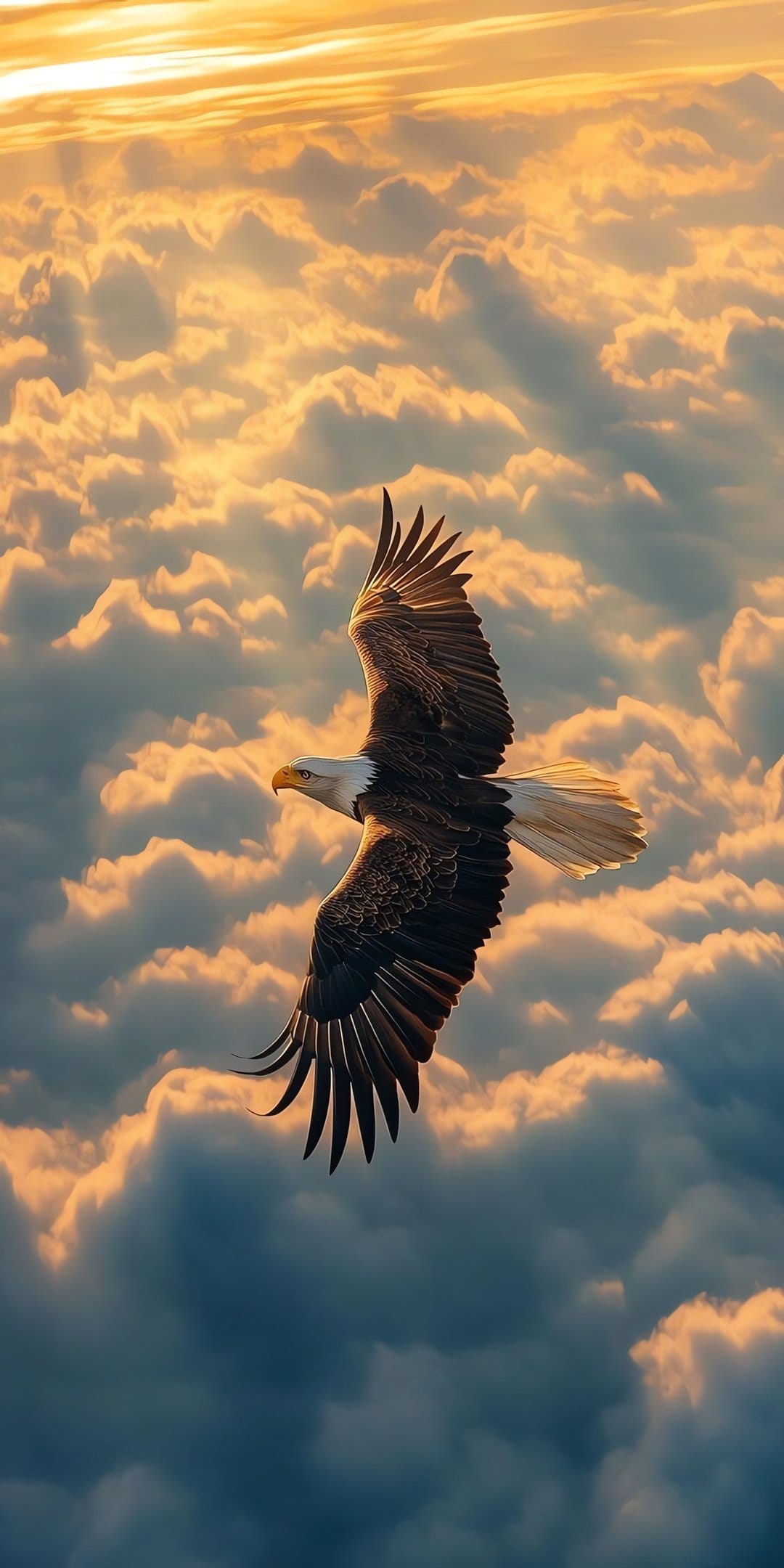 Bald eagle soaring over a thick layer of golden sunset clouds with intricate feathers and a white head.