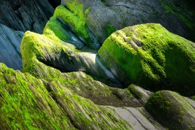 rock,desktop backgrounds,cliffs,mac wallpaper,ebb,windows wallpaper,riverbank,wallpaper HD,4K wallpaper,4K wallpaper,coast,water,landscape,nature,full HD wallpaper,free wallpaper,free background,vacations,tide,HD wallpaper