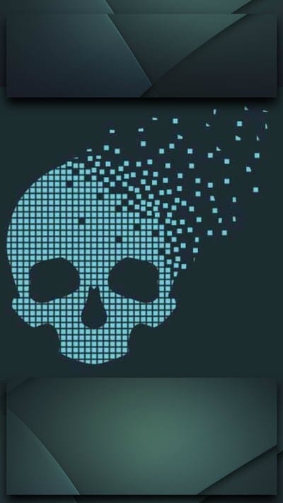 Going Offline,skull