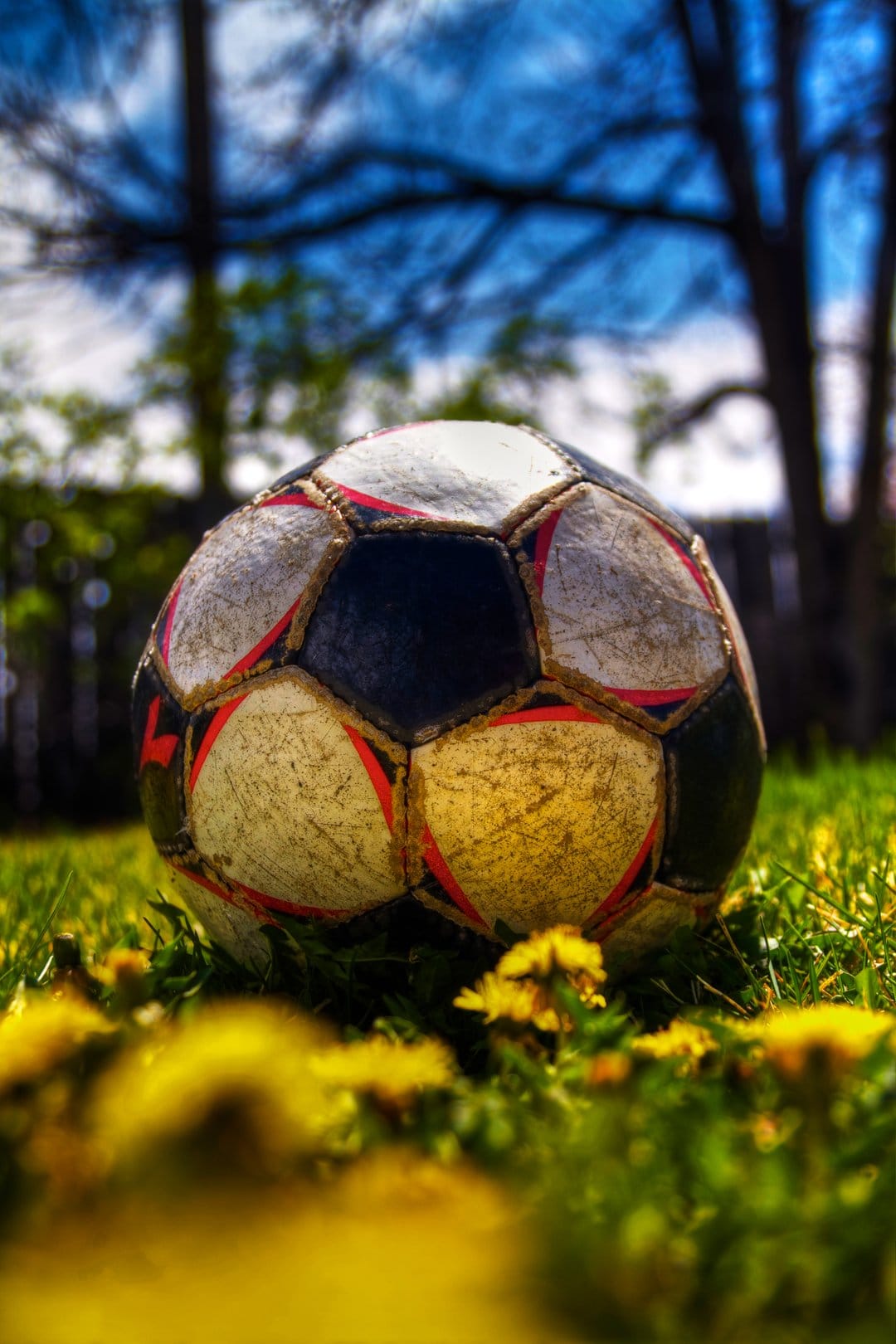 Weathered soccer ball resting on a grassy lawn with yellow dandelions under a bright blue sky with soft bokeh.