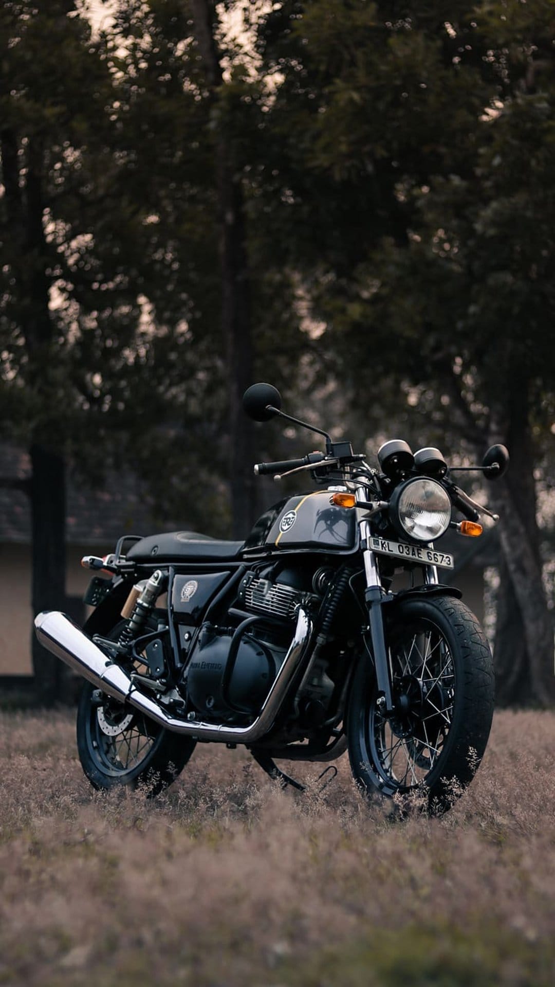 Black Royal Enfield motorcycle with chrome accents parked in a grassy field surrounded by tall forest trees.