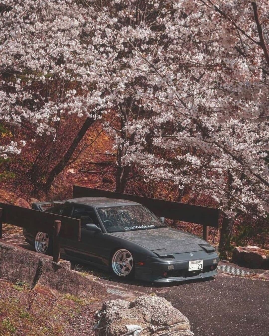 Nissan 240SX S13 car parked on a roadside beneath blooming pink cherry blossom trees with falling petals.