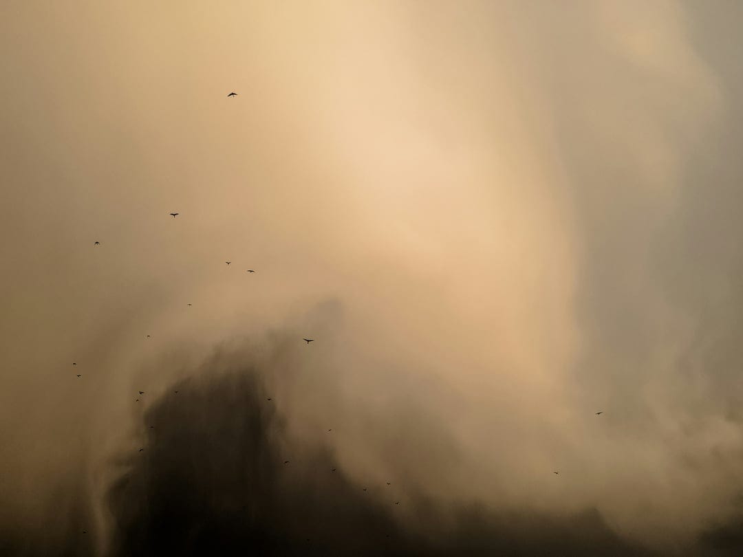 Bird silhouettes swirling through dense, dark dust storm clouds under a hazy and light-filled atmospheric sky.