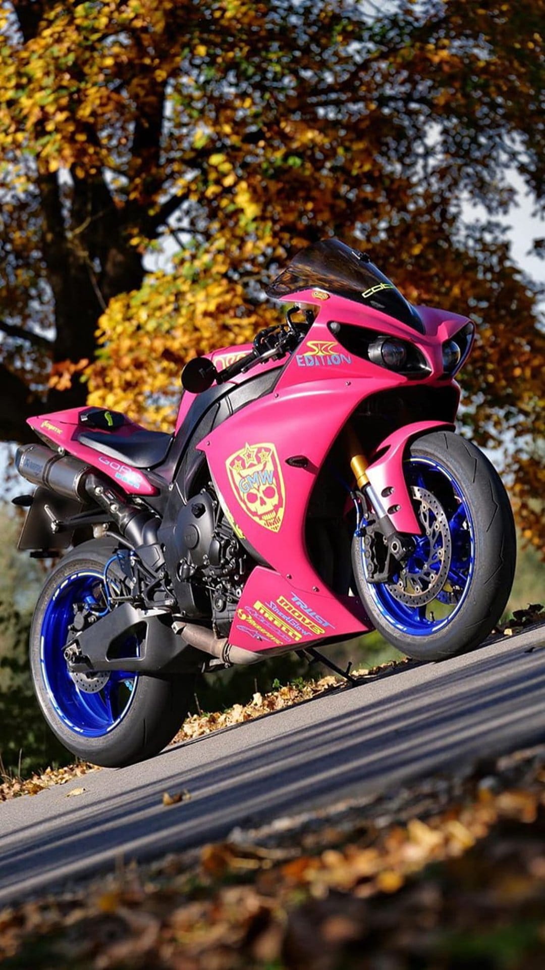 Pink sport motorcycle with a skull graphic parked on a road surrounded by yellow autumn leaves and trees.
