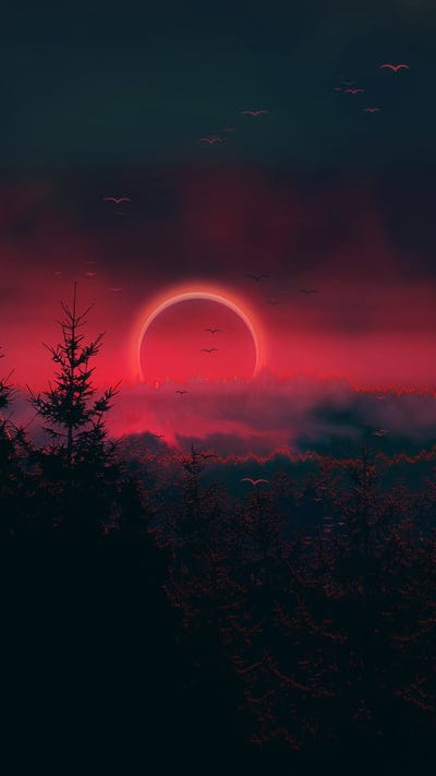 Magic Sunset, aura, aurora, birds, clouds, forest, magic, nature, sunrise, sunset, trees
