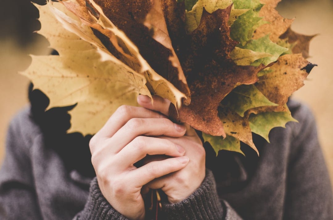 Person in a gray sweater holds a bouquet of yellow and orange maple leaves in front of their face outdoors.