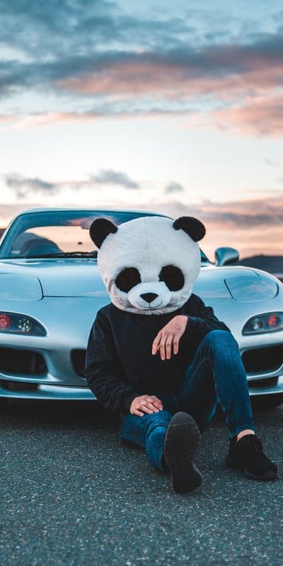 panda,pandaface,boywithcar,boy,attitude