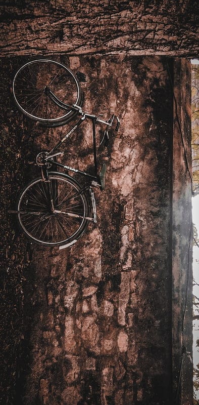 VINTAGE, bicycle, bike, cycle, landscapes, lifestyle, light, nature, old, wall, mobile wallpaper, android wallpaper, iPhone wallpaper, phone wallpaper