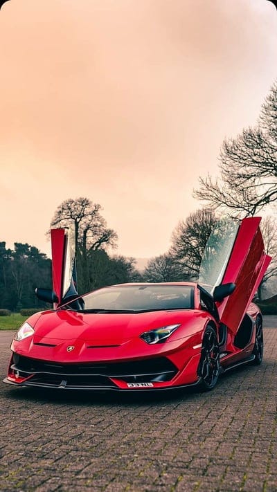 REDVENTADOR, lamborghini, aventador, svj, new, car, supercar, red, 2019, mobile wallpaper, android wallpaper, iPhone wallpaper, phone wallpaper