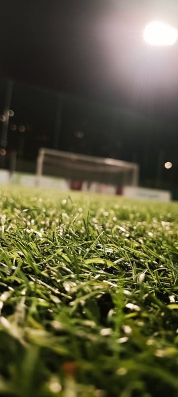 football,soccer field,gates,grass