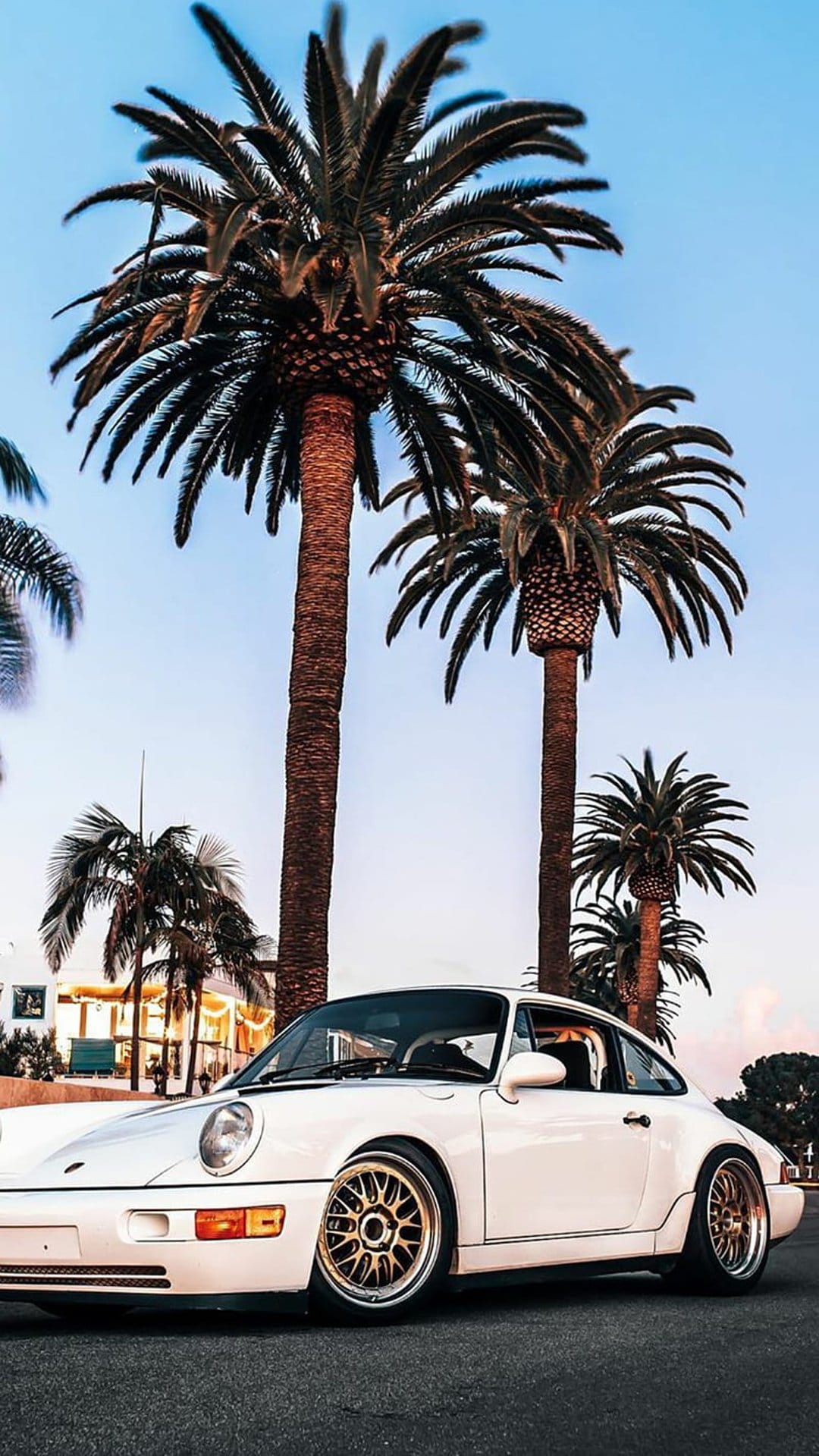 White Porsche 911 with gold rims parked on a sunny street lined with tall palm trees under a bright blue sky.