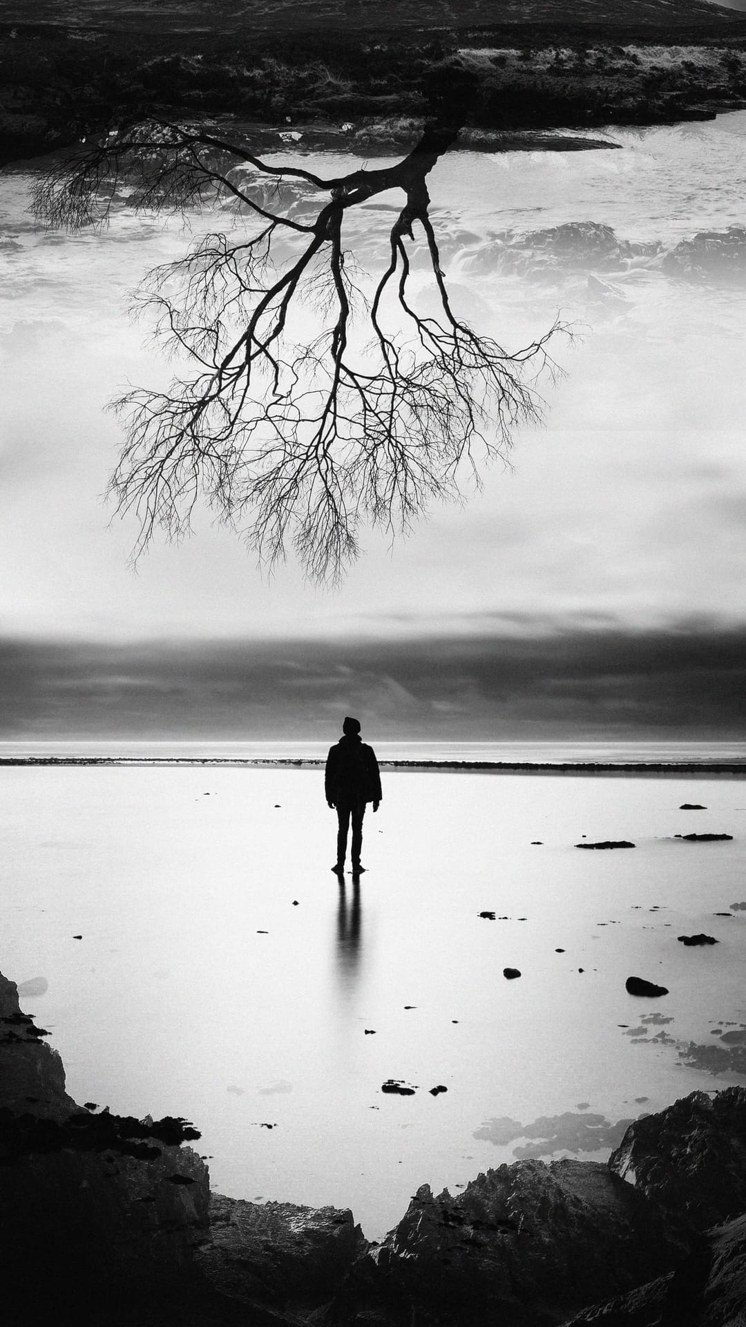 Lone figure stands on a reflective shore beneath a bare tree, creating a symmetrical monochrome scene.