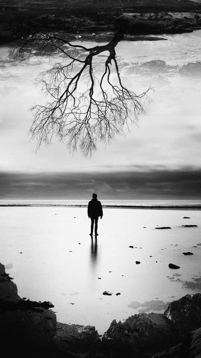 dark,boy,tree