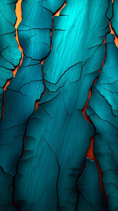 bark,surface,cranny,texture