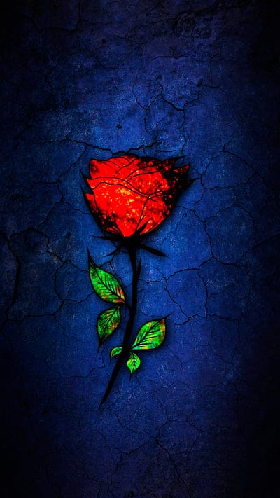 rose,flower,red,art,cranny