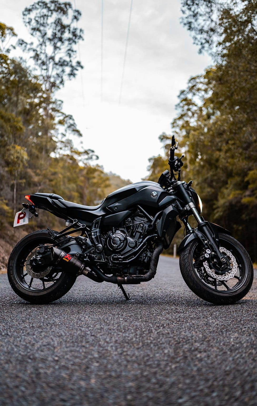 Yamaha sportbike with a red-tipped exhaust parked on an asphalt road through a dense, tall pine forest.