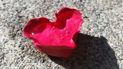 rose petal, red petal, heart shape, water droplets, dew drops, concrete texture, outdoor, macro photography, nature detail, fragility, beauty, natural light, shadow, close-up, single object, vibrant color, romantic, symbolism, texture, contrast, ground, sunlight