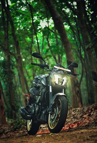 Dominar journals, bajaj, bike, diaries, dominar, forest, life, love, travel, traveller, wanderlust, mobile wallpaper, android wallpaper, iPhone wallpaper, phone wallpaper