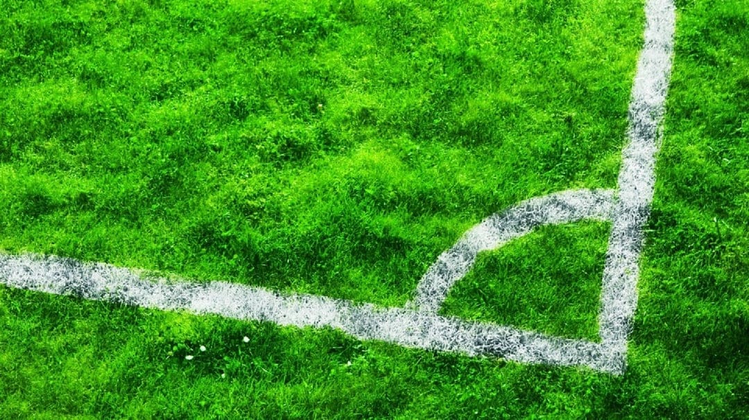 Vibrant green soccer field turf meets intersecting white chalk boundary lines in a sharp vertical close-up.