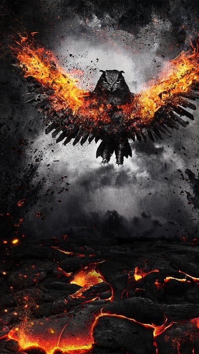 owl, bird, fire, wings, flap