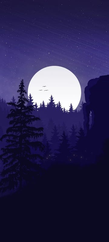 aesthetic