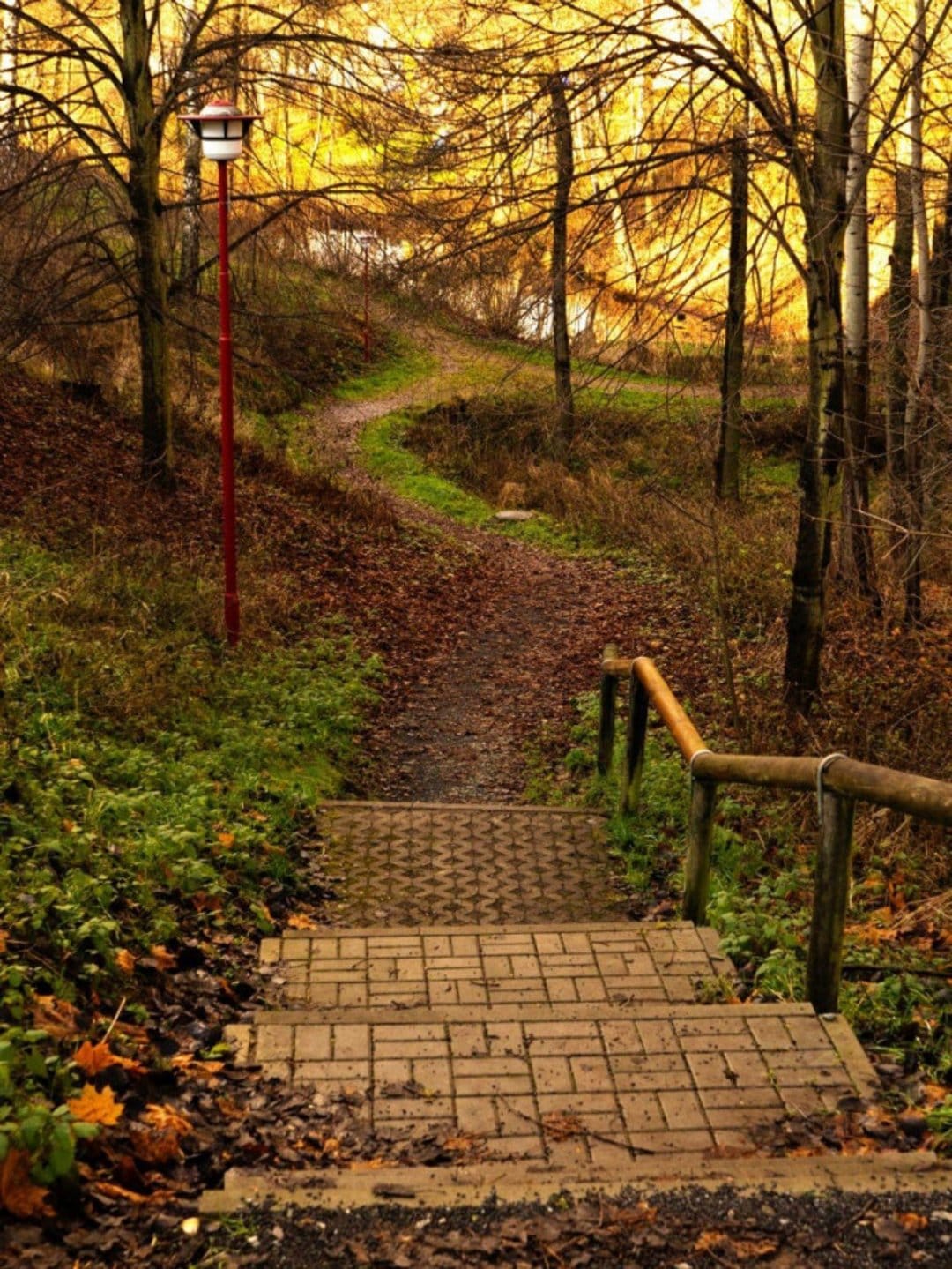 Winding leaf-strewn path with a wooden handrail descends into a sun-drenched autumn forest at sunset.