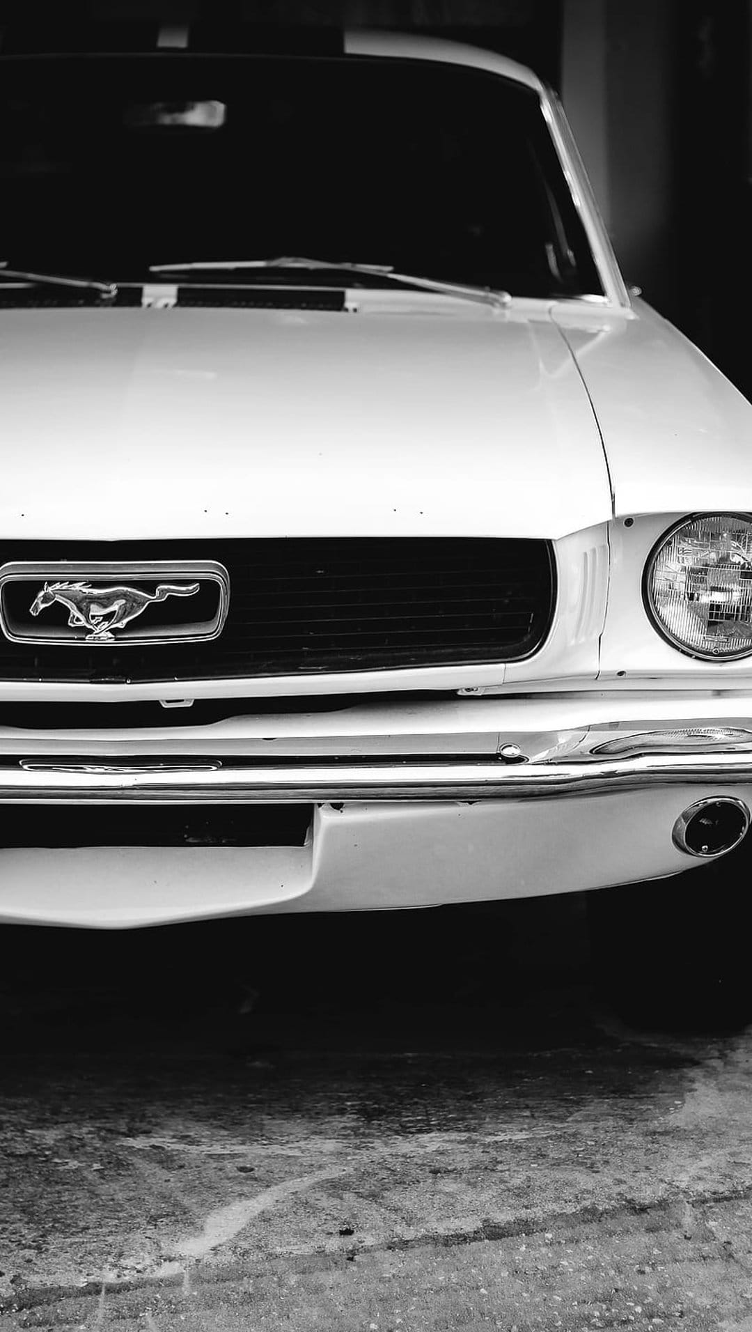 Ford Mustang front grille with a galloping horse emblem, circular headlight, and chrome bumper in monochrome.