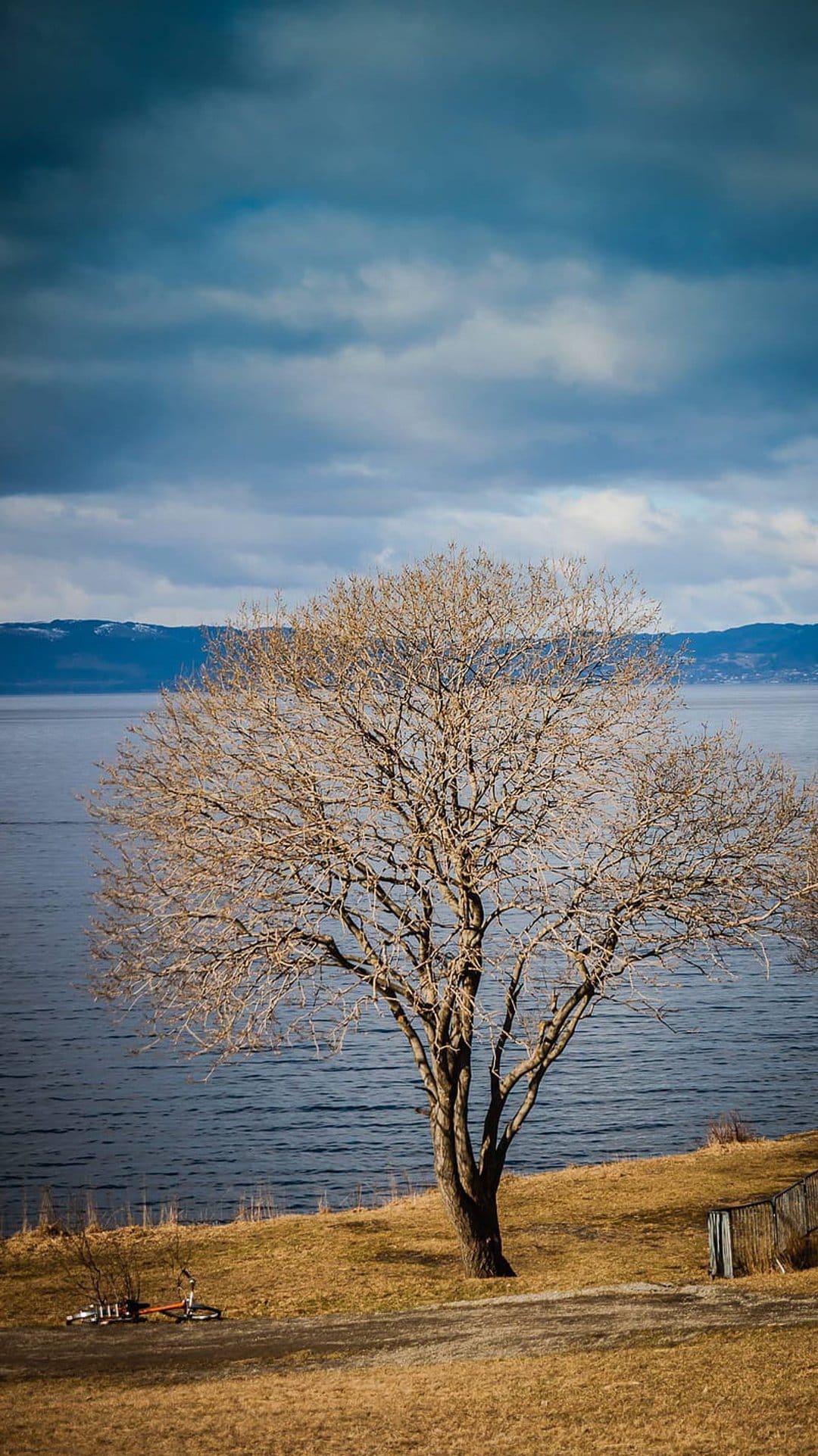 Bare tree and a bicycle on a grassy bank beside a calm lake under a dramatic, dark cloudy sky.