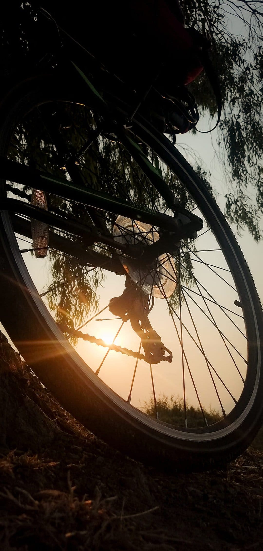 Bicycle wheel spokes and chain silhouetted against a vibrant golden sunset with light rays and distant trees.