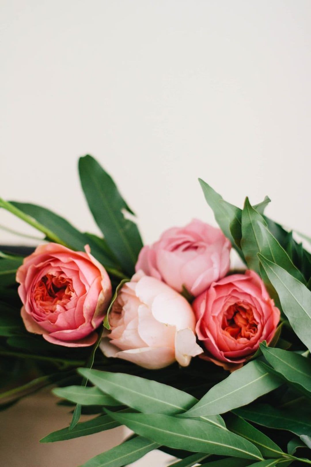 Vibrant floral arrangements featuring a blue rose with dewdrops, white tulips, and a sunflower in golden sunlight.