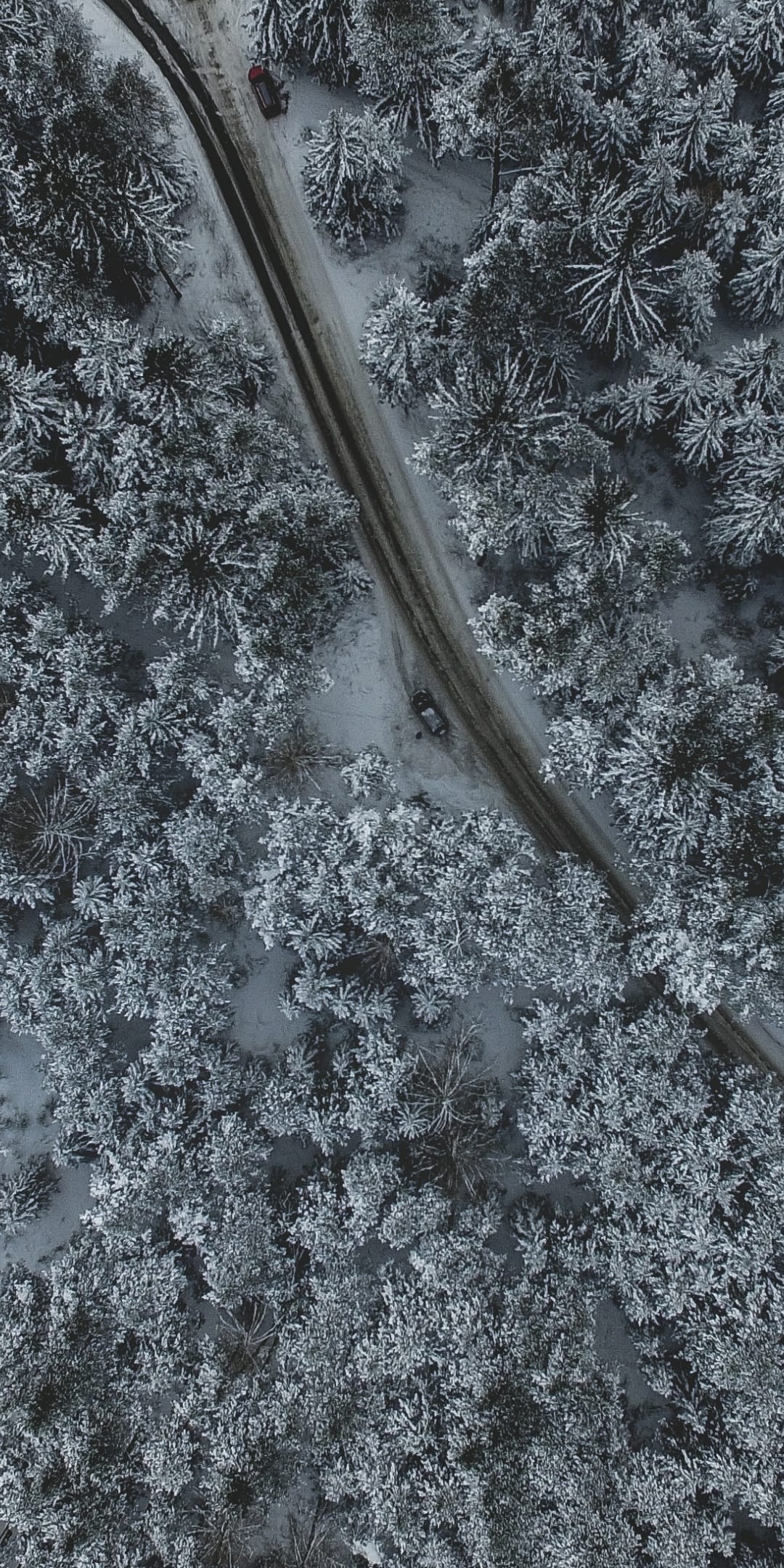 Winding snow-dusted road cuts through a dense frost-covered evergreen forest with a single car visible from above.