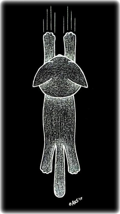 Cat Scratch Art,black,cartoon,cute,dark,drawings,fun,funny,hang,kitty, simple