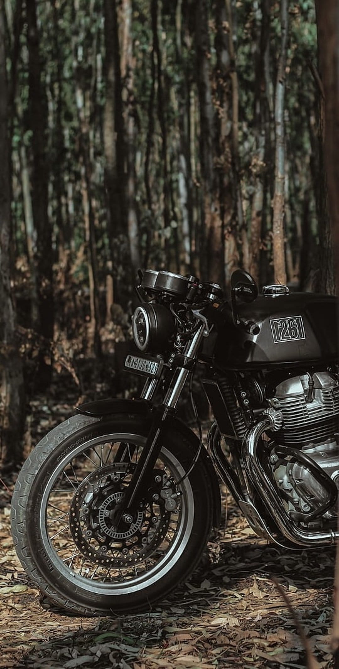 Black vintage motorcycle parked on a forest floor with sunlight filtering through tall trees onto the engine.