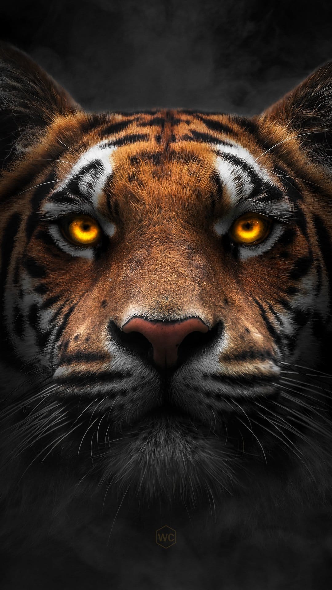 Tiger with glowing orange eyes and detailed stripes stares directly forward against a dark smoky background.